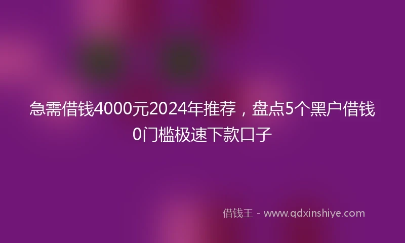 急需借钱4000元2024年推荐，盘点5个黑户借钱0门槛极速下款口子