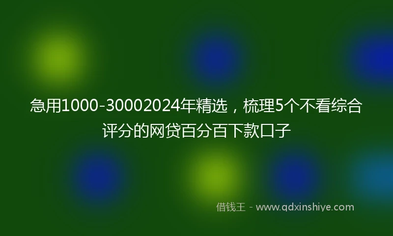 急用1000-30002024年精选，梳理5个不看综合评分的网贷百分百下款口子