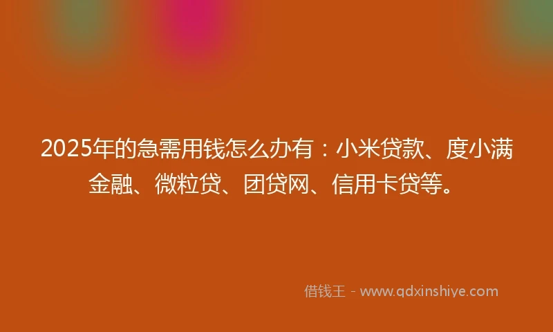 2025年的急需用钱怎么办有：小米贷款、度小满金融、微粒贷、团贷网、信用卡贷等。
