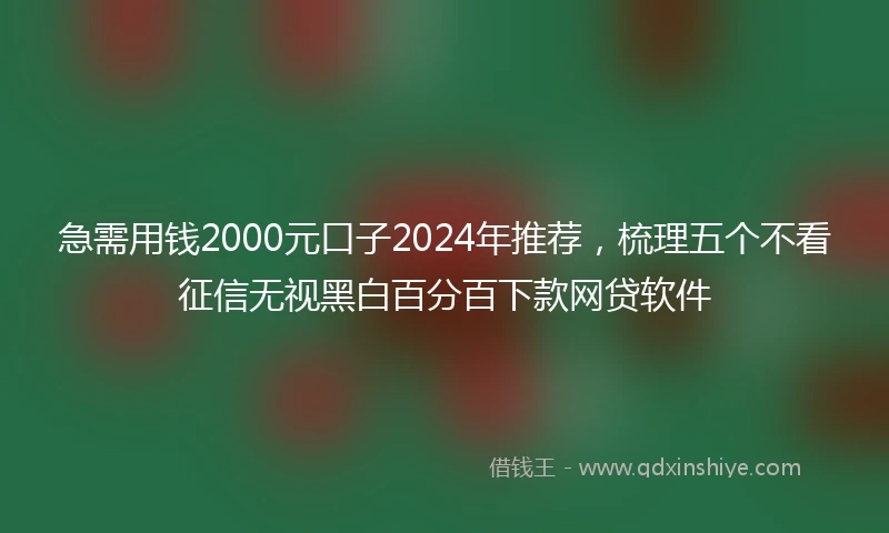 急需用钱2000元口子2024年推荐，梳理五个不看征信无视黑白百分百下款网贷软件