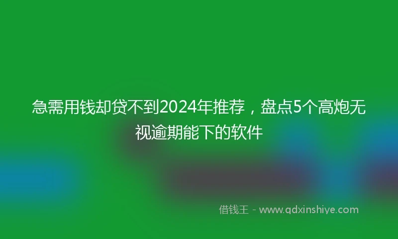 急需用钱却贷不到2024年推荐，盘点5个高炮无视逾期能下的软件