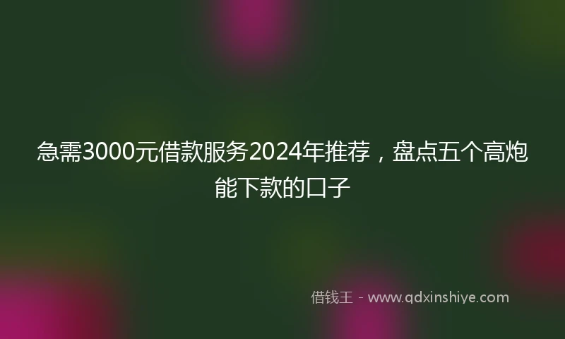 急需3000元借款服务2024年推荐，盘点五个高炮能下款的口子