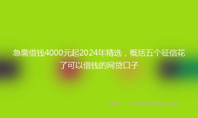 急需借钱4000元起2024年精选，概括五个征信花了可以借钱的网贷口子