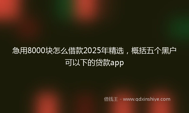 急用8000块怎么借款2025年精选，概括五个黑户可以下的贷款app