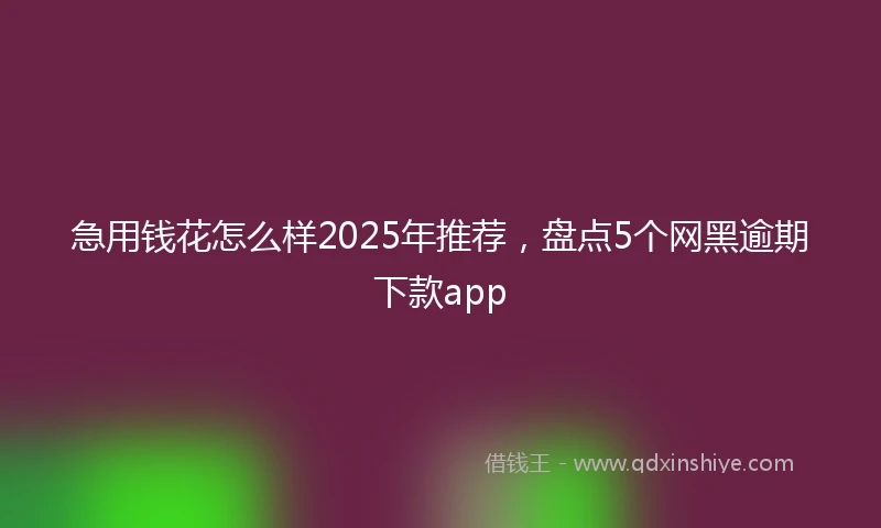 急用钱花怎么样2025年推荐，盘点5个网黑逾期下款app