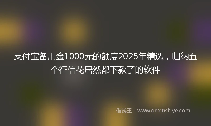 支付宝备用金1000元的额度2025年精选，归纳五个征信花居然都下款了的软件