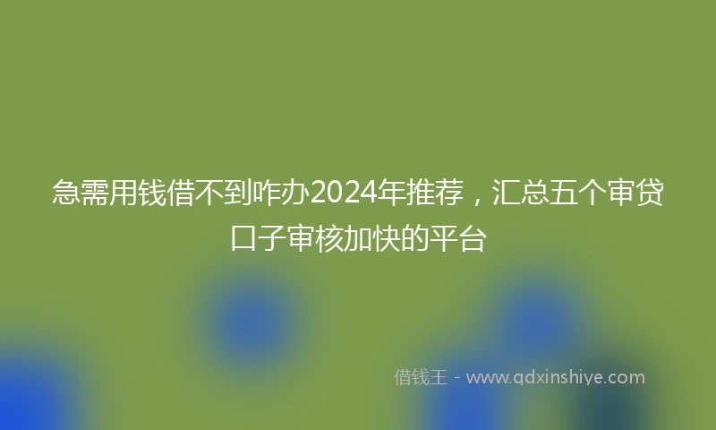 急需用钱借不到咋办2024年推荐，汇总五个审贷口子审核加快的平台