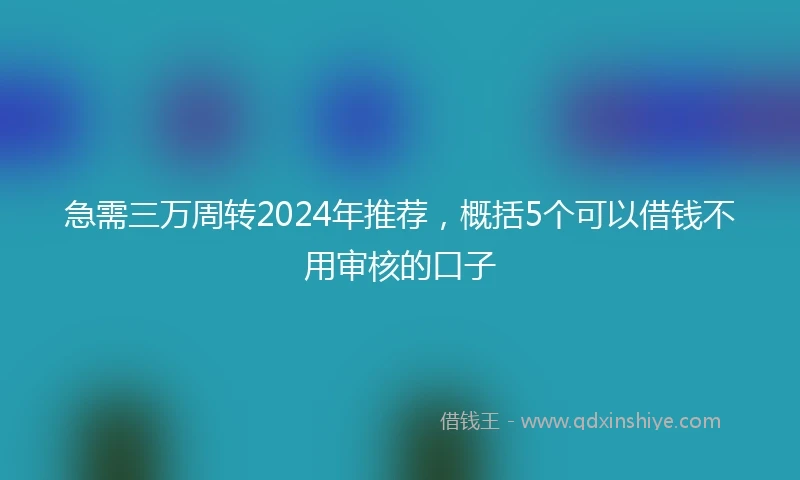 急需三万周转2024年推荐,概括5个可以借钱不用审核的口子