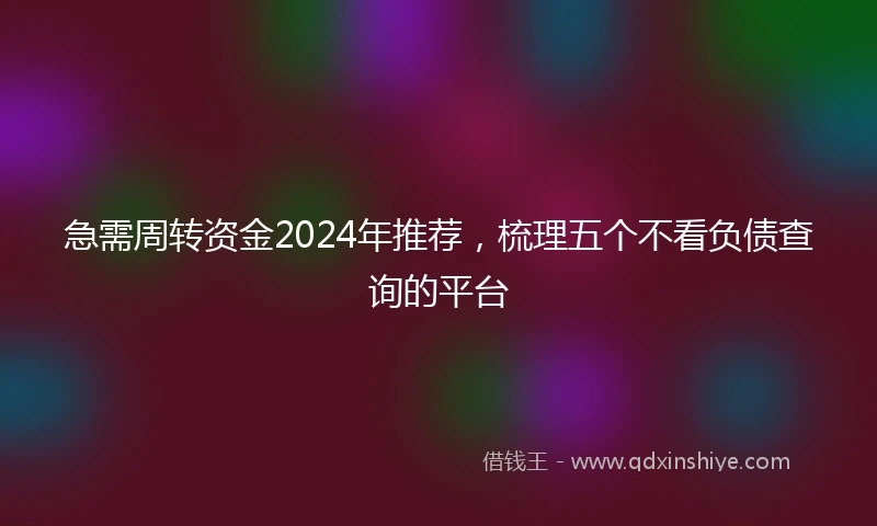 急需周转资金2024年推荐，梳理五个不看负债查询的平台