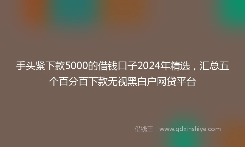 手头紧下款5000的借钱口子2024年精选,汇总五个百分百下款无视黑白户网贷平台