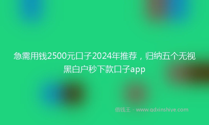 急需用钱2500元口子2024年推荐，归纳五个无视黑白户秒下款口子app