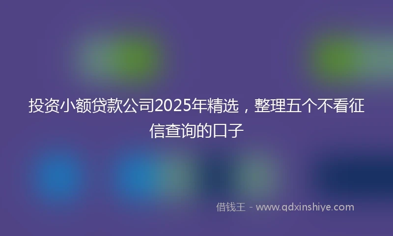 投资小额贷款公司2025年精选,整理五个不看征信查询的口子