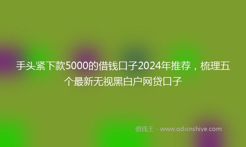 手头紧下款5000的借钱口子2024年推荐，梳理五个最新无视黑白户网贷口子