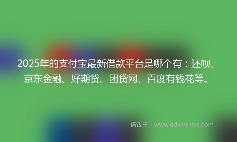 2025年的支付宝最新借款平台是哪个有：还呗、京东金融、好期贷、团贷网、百度有钱花等。
