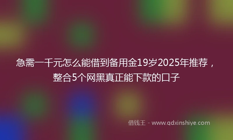 急需一千元怎么能借到备用金19岁2025年推荐，整合5个网黑真正能下款的口子