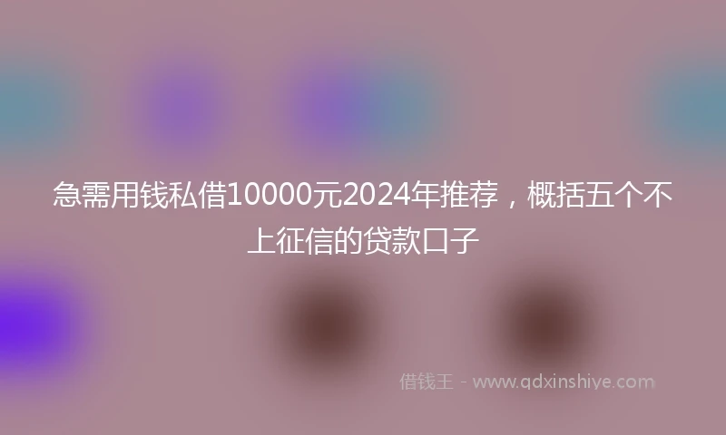 急需用钱私借10000元2024年推荐，概括五个不上征信的贷款口子