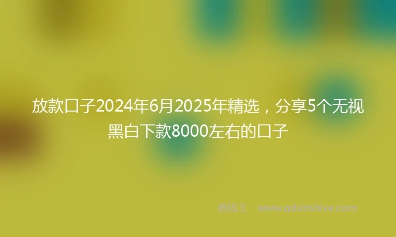 放款口子2024年6月2025年精选，分享5个无视黑白下款8000左右的口子