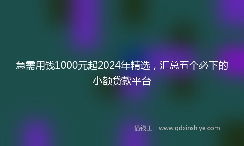 急需用钱1000元起2024年精选，汇总五个必下的小额贷款平台