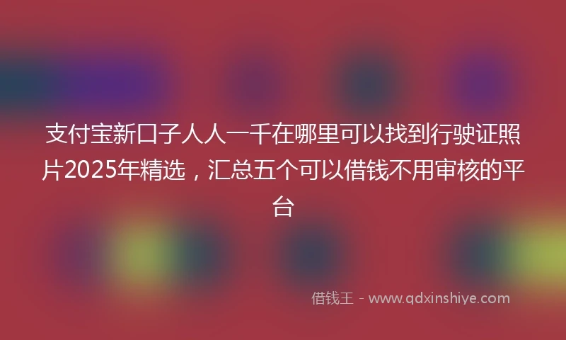 支付宝新口子人人一千在哪里可以找到行驶证照片2025年精选，汇总五个可以借钱不用审核的平台