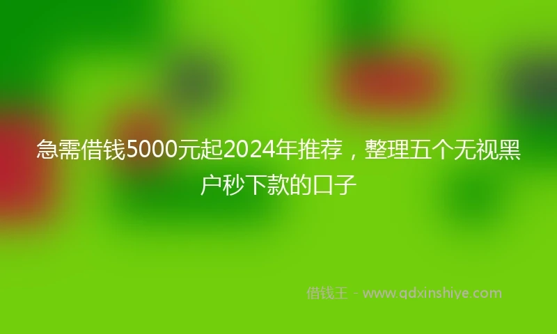 急需借钱5000元起2024年推荐，整理五个无视黑户秒下款的口子