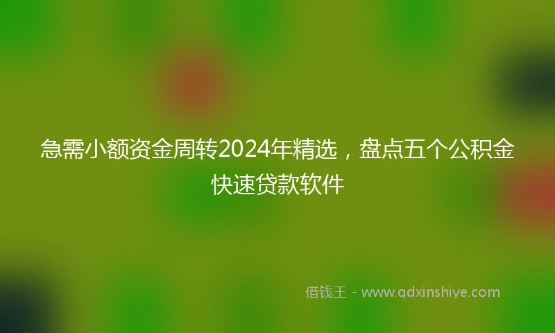 急需小额资金周转2024年精选，盘点五个公积金快速贷款软件