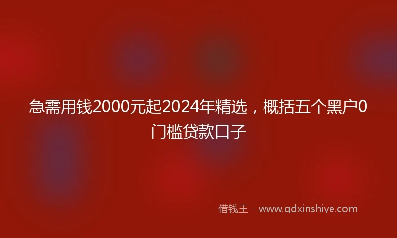 急需用钱2000元起2024年精选，概括五个黑户0门槛贷款口子