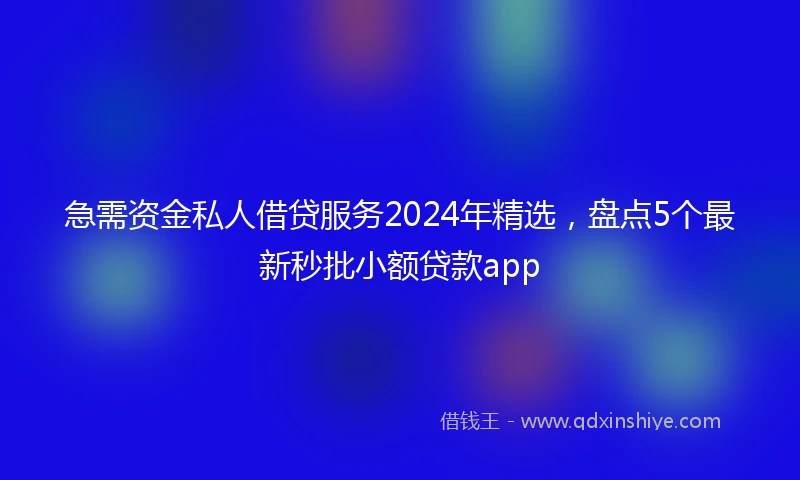 急需资金私人借贷服务2024年精选，盘点5个最新秒批小额贷款app