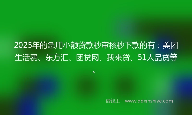 2025年的急用小额贷款秒审核秒下款的有：美团生活费、东方汇、团贷网、我来贷、51人品贷等。