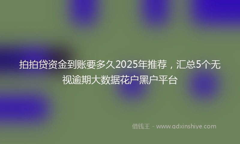拍拍贷资金到账要多久2025年推荐，汇总5个无视逾期大数据花户黑户平台