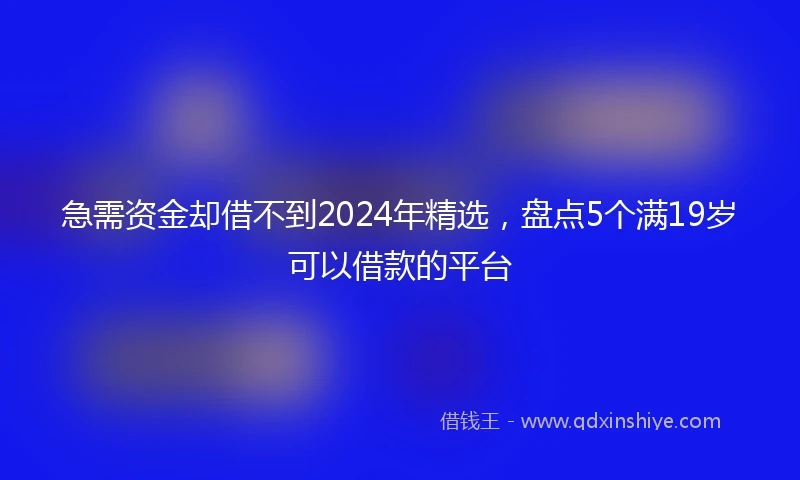 急需资金却借不到2024年精选，盘点5个满19岁可以借款的平台