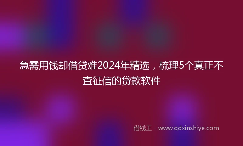 急需用钱却借贷难2024年精选，梳理5个真正不查征信的贷款软件