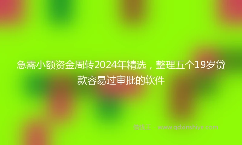 急需小额资金周转2024年精选，整理五个19岁贷款容易过审批的软件