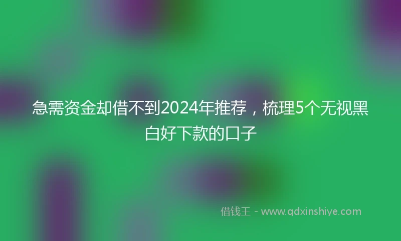 急需资金却借不到2024年推荐，梳理5个无视黑白好下款的口子