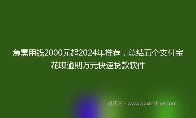 急需用钱2000元起2024年推荐，总结五个支付宝花呗逾期万元快速贷款软件