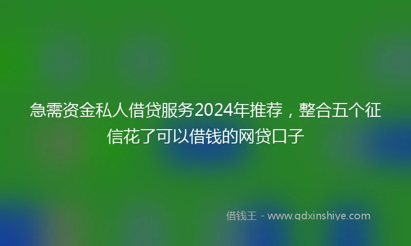 急需资金私人借贷服务2024年推荐，整合五个征信花了可以借钱的网贷口子