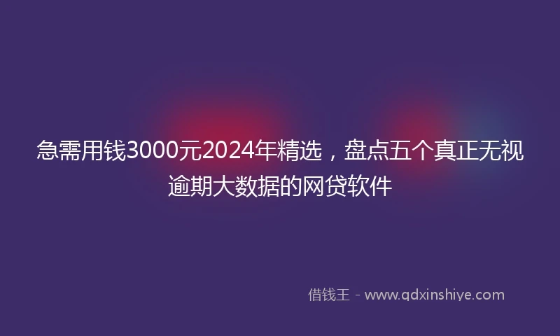 急需用钱3000元2024年精选，盘点五个真正无视逾期大数据的网贷软件