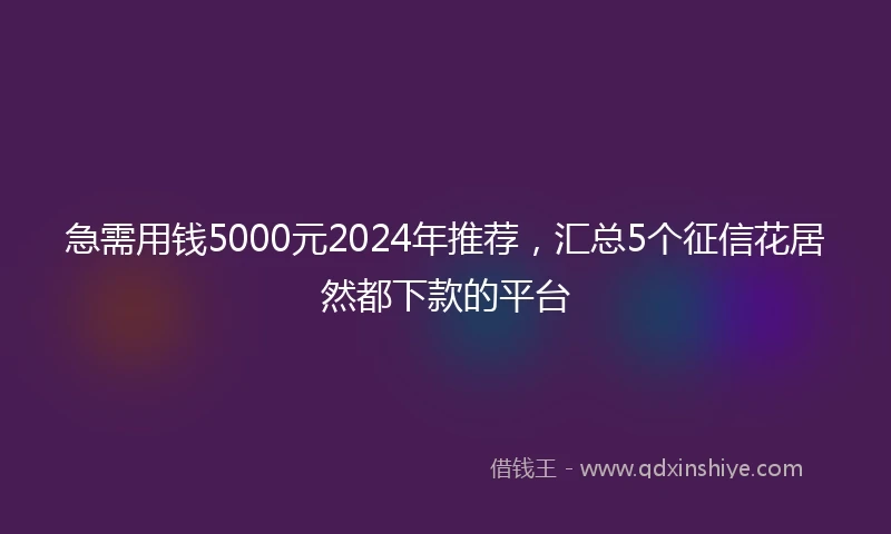 急需用钱5000元2024年推荐，汇总5个征信花居然都下款的平台