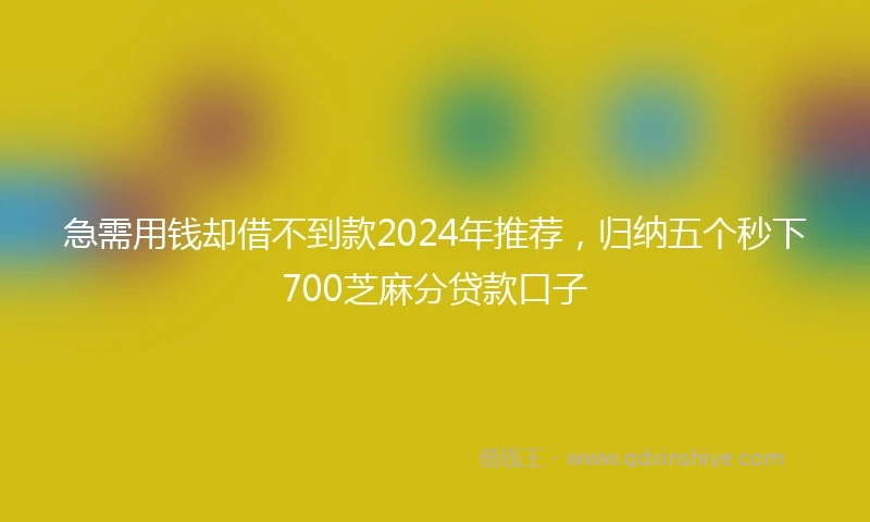 急需用钱却借不到款2024年推荐，归纳五个秒下700芝麻分贷款口子