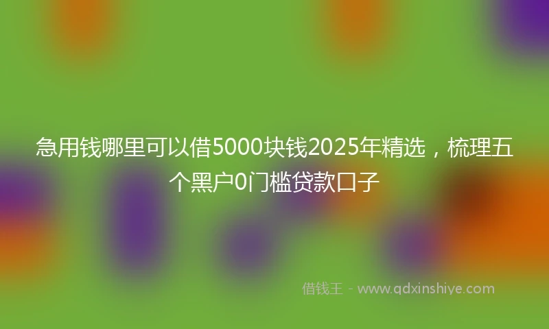 急用钱哪里可以借5000块钱2025年精选，梳理五个黑户0门槛贷款口子