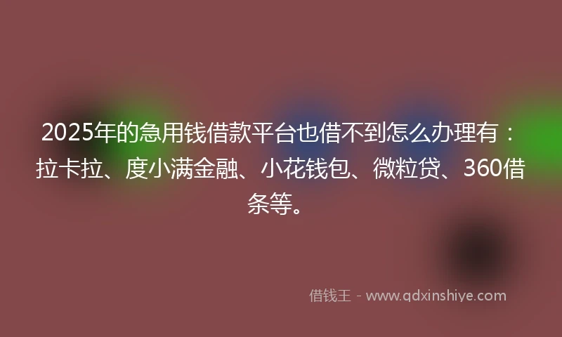 2025年的急用钱借款平台也借不到怎么办理有：拉卡拉、度小满金融、小花钱包、微粒贷、360借条等。