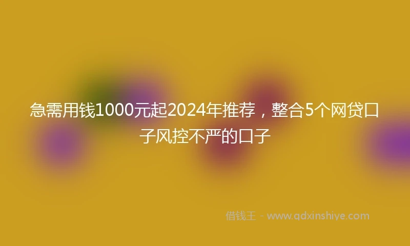 急需用钱1000元起2024年推荐，整合5个网贷口子风控不严的口子
