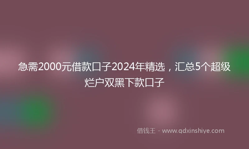 急需2000元借款口子2024年精选，汇总5个超级烂户双黑下款口子