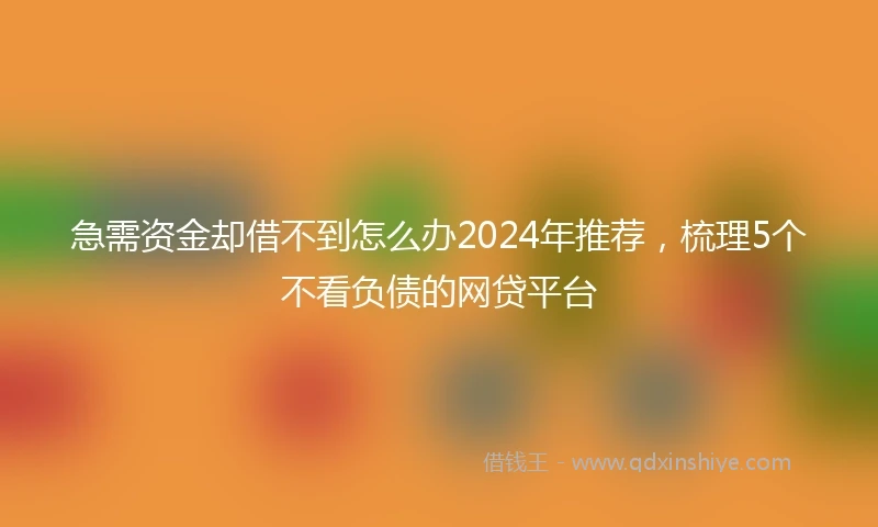 急需资金却借不到怎么办2024年推荐，梳理5个不看负债的网贷平台
