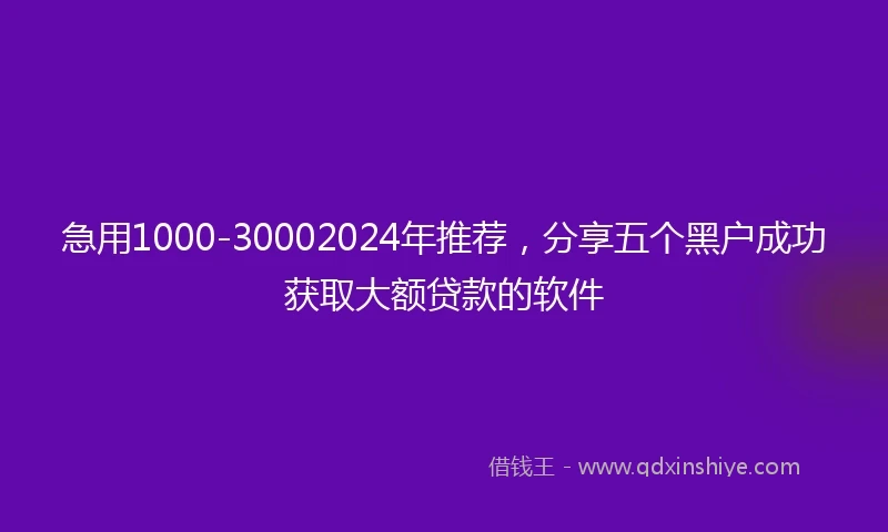 急用1000-30002024年推荐，分享五个黑户成功获取大额贷款的软件