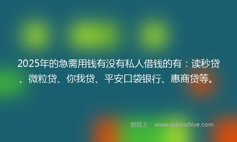 2025年的急需用钱有没有私人借钱的有：读秒贷、微粒贷、你我贷、平安口袋银行、惠商贷等。