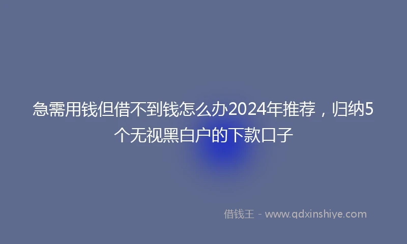急需用钱但借不到钱怎么办2024年推荐，归纳5个无视黑白户的下款口子
