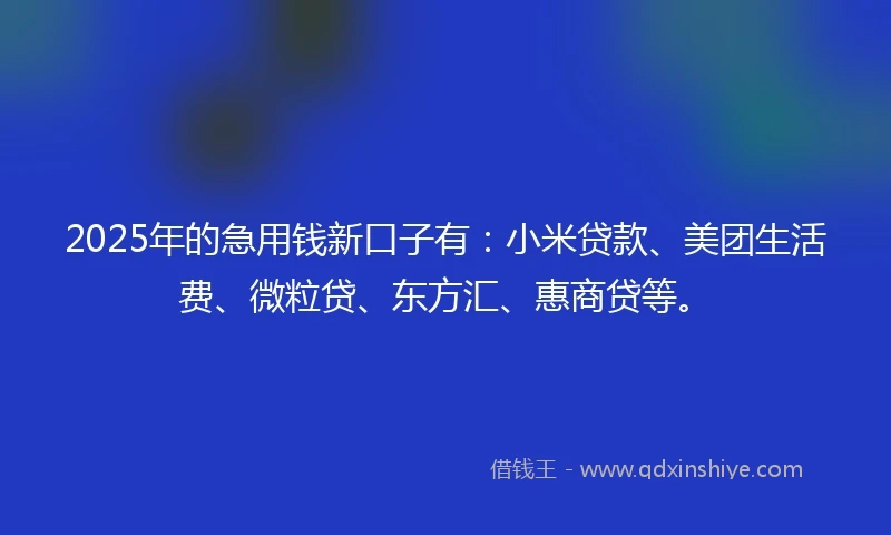 2025年的急用钱新口子有：小米贷款、美团生活费、微粒贷、东方汇、惠商贷等。
