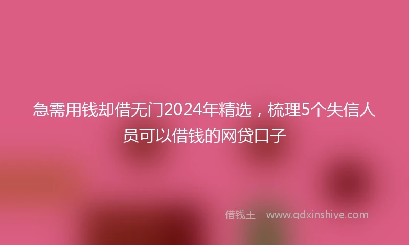 急需用钱却借无门2024年精选，梳理5个失信人员可以借钱的网贷口子