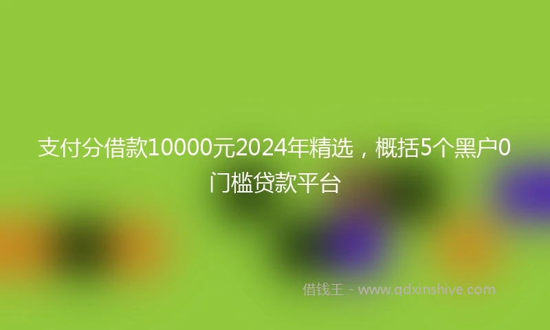 支付分借款10000元2024年精选，概括5个黑户0门槛贷款平台