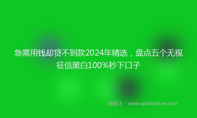 急需用钱却贷不到款2024年精选，盘点五个无视征信黑白100%秒下口子